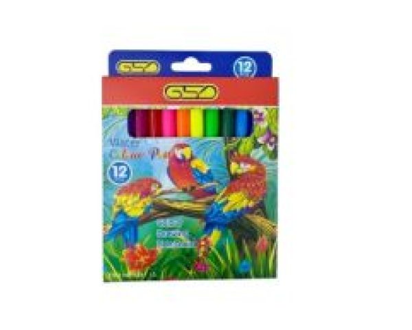 GSD Water Colour Pens Non Toxic 12 Pcs